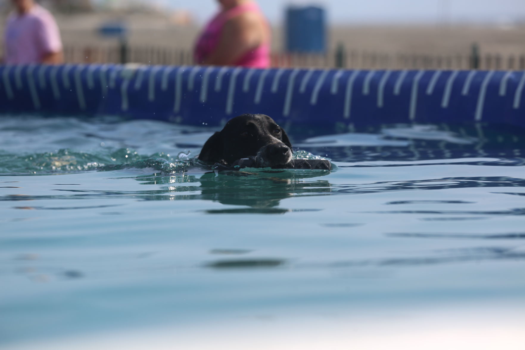 090919_gal_dockdogsWW (67)